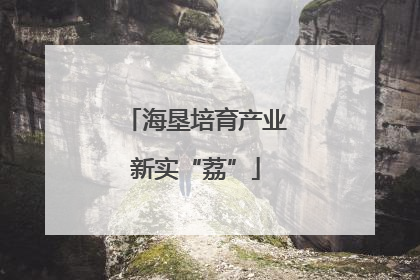 海垦培育产业新实“荔”