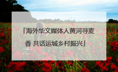 海外华文媒体人黄河寻麦香 共话运城乡村振兴