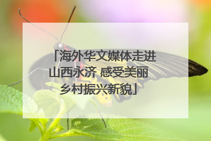 海外华文媒体走进山西永济 感受美丽乡村振兴新貌
