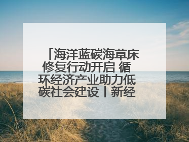 海洋蓝碳海草床修复行动开启 循环经济产业助力低碳社会建设丨新经济观察