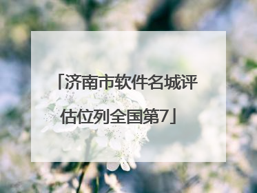 济南市软件名城评估位列全国第7