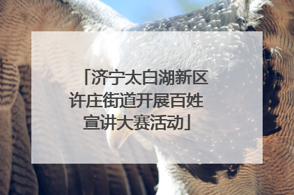 济宁太白湖新区许庄街道开展百姓宣讲大赛活动
