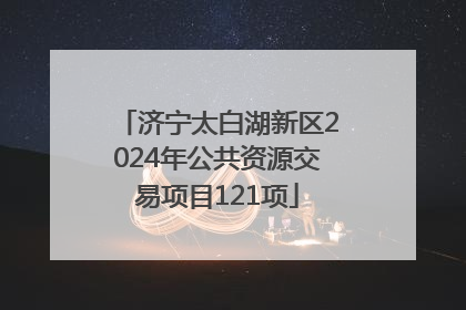 济宁太白湖新区2024年公共资源交易项目121项