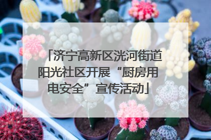 济宁高新区洸河街道阳光社区开展“厨房用电安全”宣传活动