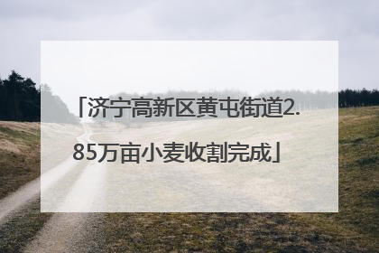 济宁高新区黄屯街道2.85万亩小麦收割完成