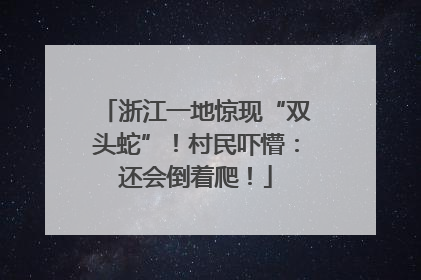 浙江一地惊现“双头蛇”！村民吓懵：还会倒着爬！