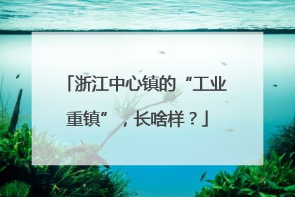 浙江中心镇的“工业重镇”，长啥样？