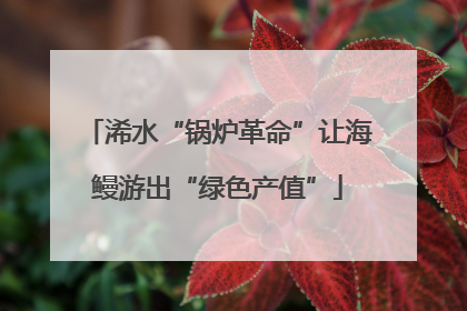 浠水“锅炉革命”让海鳗游出“绿色产值”