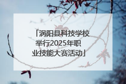 涡阳县科技学校举行2025年职业技能大赛活动