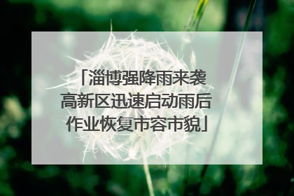 淄博强降雨来袭 高新区迅速启动雨后作业恢复市容市貌