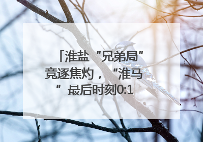 淮盐“兄弟局”竞逐焦灼，“淮马”最后时刻0:1憾负“盐鹿”