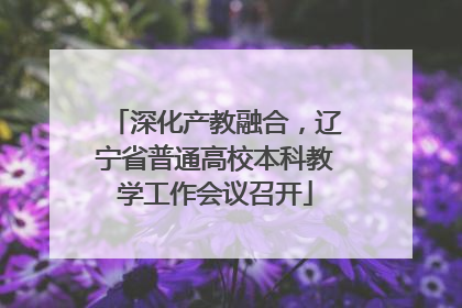 深化产教融合，辽宁省普通高校本科教学工作会议召开