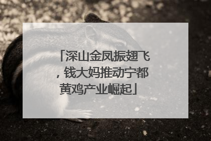 深山金凤振翅飞，钱大妈推动宁都黄鸡产业崛起