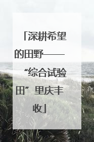 深耕希望的田野——“综合试验田”里庆丰收