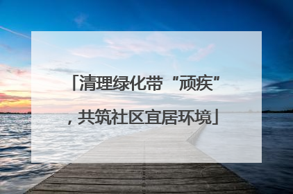 清理绿化带“顽疾”，共筑社区宜居环境