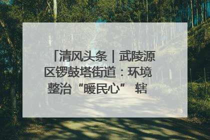 清风头条｜武陵源区锣鼓塔街道：环境整治“暖民心” 辖区面貌“靓”起来