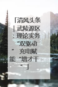 清风头条｜武陵源区：理论实务“双驱动 ” 充电赋能“增才干”