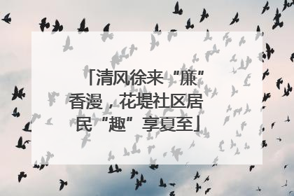 清风徐来“廉”香漫，花堤社区居民“趣”享夏至