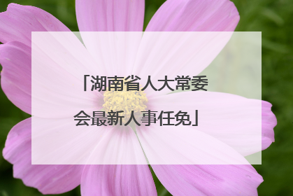 湖南省人大常委会最新人事任免
