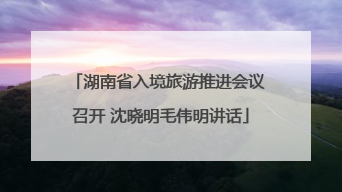 湖南省入境旅游推进会议召开 沈晓明毛伟明讲话