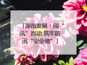 湖南发展：闻“汛”而动 筑牢防汛“安全墙”