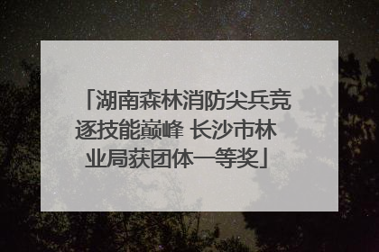 湖南森林消防尖兵竞逐技能巅峰 长沙市林业局获团体一等奖