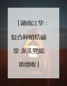 湖南江华：复合种植结硕果 龙头兜底助增收