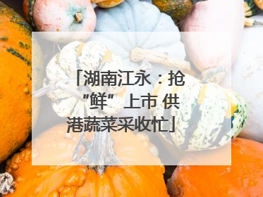 湖南江永：抢“鲜”上市 供港蔬菜采收忙