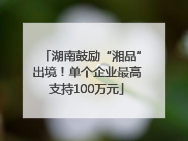 湖南鼓励“湘品”出境！单个企业最高支持100万元