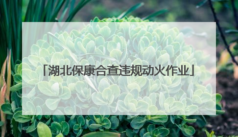 湖北保康合查违规动火作业