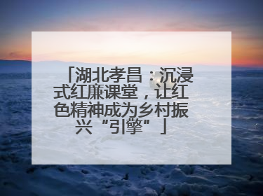 湖北孝昌：沉浸式红廉课堂，让红色精神成为乡村振兴“引擎”