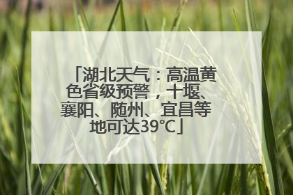 湖北天气：高温黄色省级预警，十堰、襄阳、随州、宜昌等地可达39℃