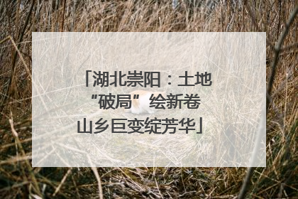 湖北崇阳：土地“破局”绘新卷 山乡巨变绽芳华