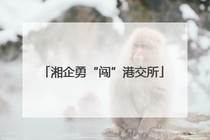 湘企勇“闯”港交所
