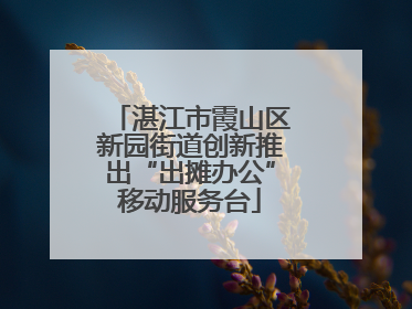 湛江市霞山区新园街道创新推出“出摊办公”移动服务台