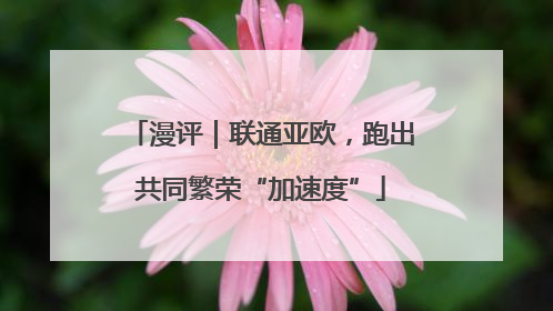 漫评｜联通亚欧，跑出共同繁荣“加速度”