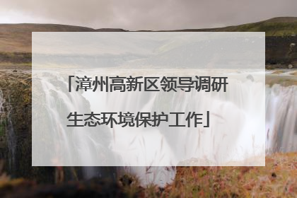 漳州高新区领导调研生态环境保护工作
