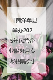 菏泽单县举办2025年民营企业服务月专场招聘会