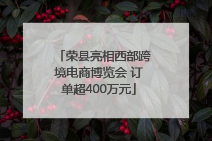 荣县亮相西部跨境电商博览会 订单超400万元