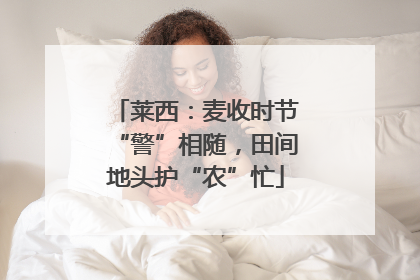 莱西：麦收时节“警”相随，田间地头护“农”忙