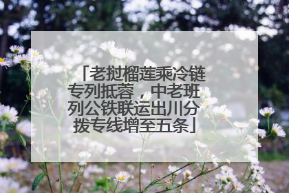 老挝榴莲乘冷链专列抵蓉，中老班列公铁联运出川分拨专线增至五条