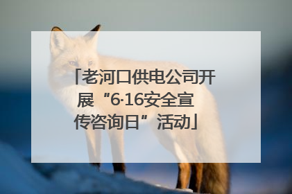 老河口供电公司开展“6·16安全宣传咨询日”活动