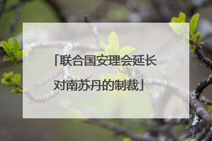 联合国安理会延长对南苏丹的制裁
