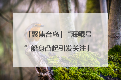 聚焦台岛│“海鲲号”船身凸起引发关注