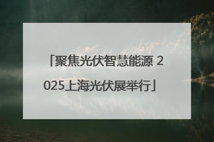 聚焦光伏智慧能源 2025上海光伏展举行