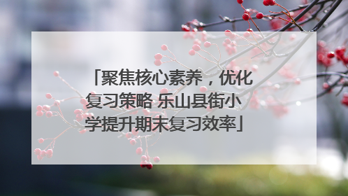聚焦核心素养，优化复习策略 乐山县街小学提升期末复习效率