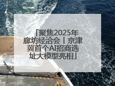 聚焦2025年廊坊经洽会丨京津冀首个AI招商选址大模型亮相