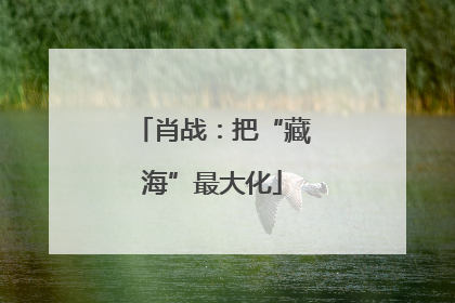 肖战：把“藏海”最大化