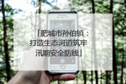 肥城市孙伯镇：打造生态河道筑牢汛期安全防线