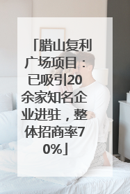 腊山复利广场项目：已吸引20余家知名企业进驻，整体招商率70%